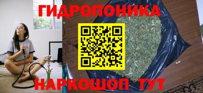 гидропоника Пушкино