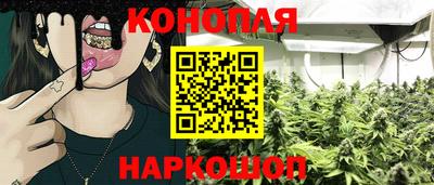 гидропоника Пушкино