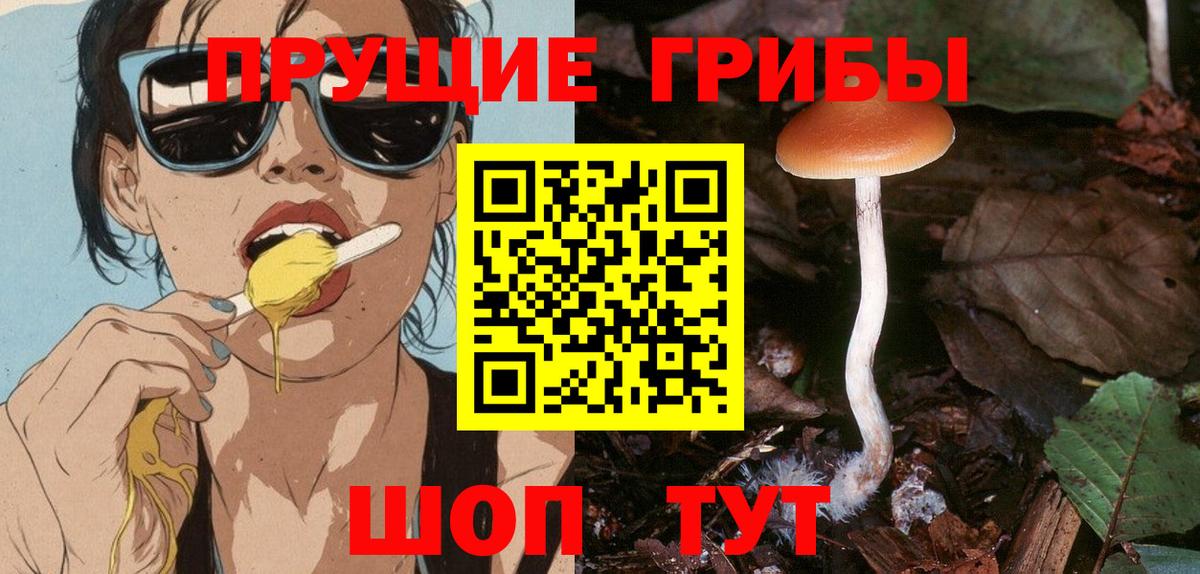Протвино  Галлюциногенные грибы Psilocybine cubensis  Галлюциногенные грибы мухоморы  Вход с VPN 
