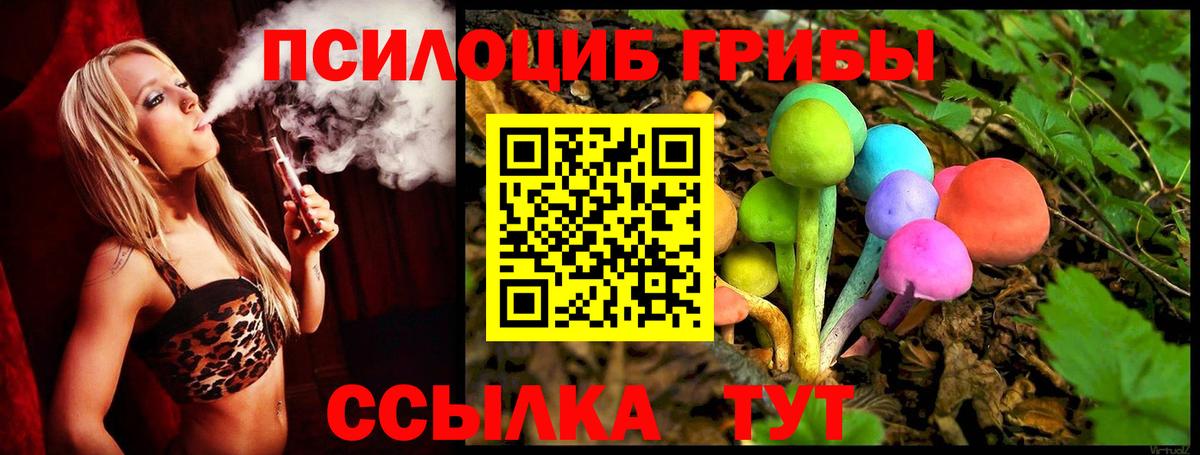 Псилоцибиновые грибы MAGIC MUSHROOMS Протвино